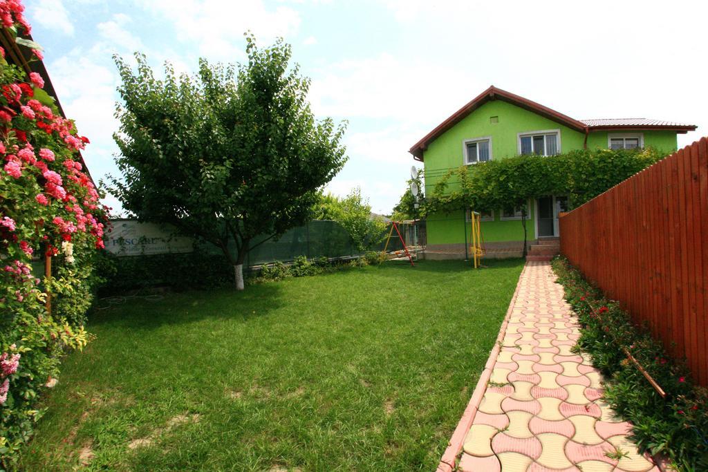 Casa Nelu Pescaru 호텔 마흐무디아 외부 사진
