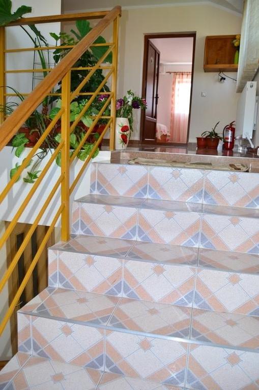 Casa Nelu Pescaru 호텔 마흐무디아 외부 사진